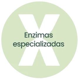 Enzimas especializadas